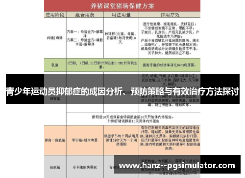 青少年运动员抑郁症的成因分析、预防策略与有效治疗方法探讨